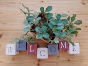 5bef50ea281859fa4032b4a49e40c607_s