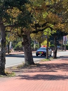 1DAB6D8F-6252-4296-9D9C-6EEBDA3A081F