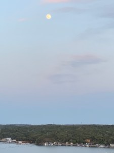 50715F18-20F6-4F0A-BCB1-110B529A98EE