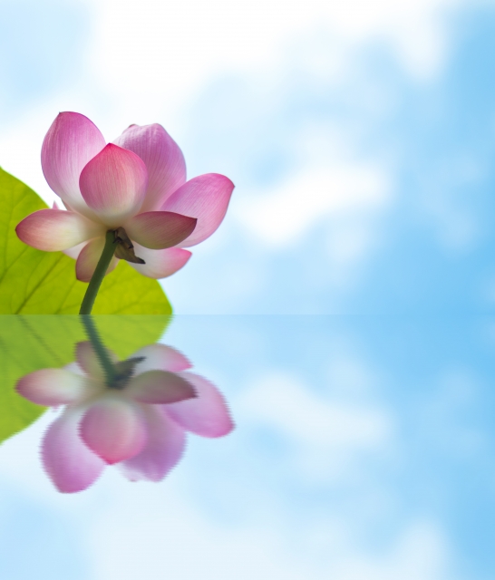 cc5f9dbd332a5a768f08388d367e8085_s