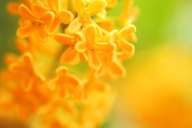 06e9b50d0aa4b2c496abc72fd169c97a_s