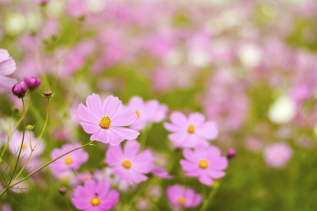 a23c2a830d4c7b9ef6a25560c535b342_s